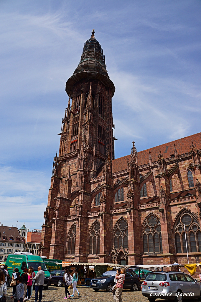 Catedral de Friburgo (2) 12-8-2014